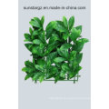 PE Ixora Hedge Panel Artificial Plant for Home Decoration with SGS Certificiate (50088)